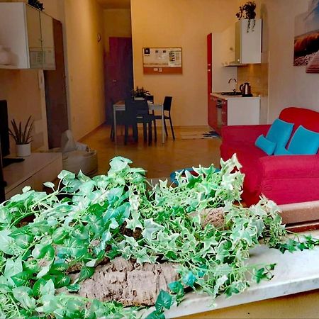 Brisa Marina Apartment 알게로 외부 사진